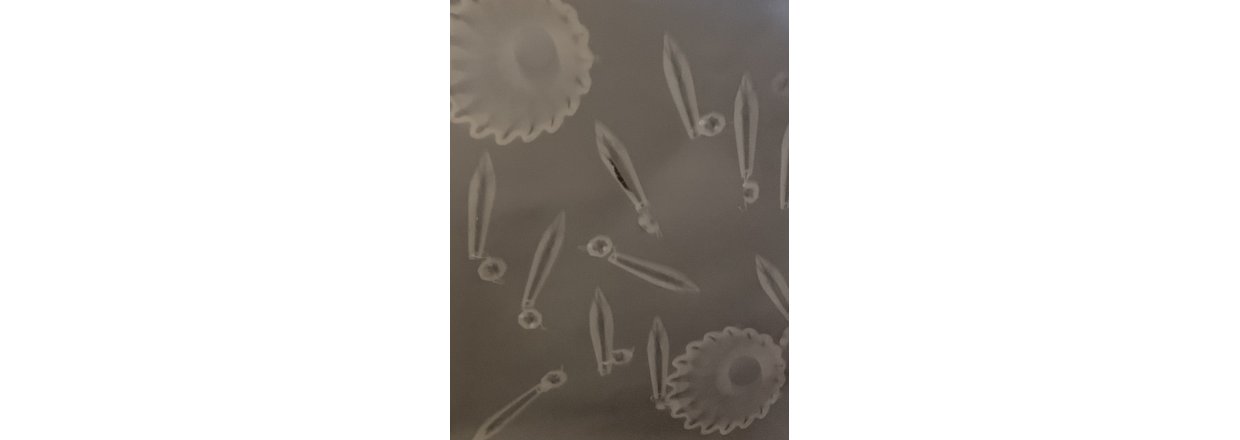 Lumenprint  Sdan laver du billeder med sollys