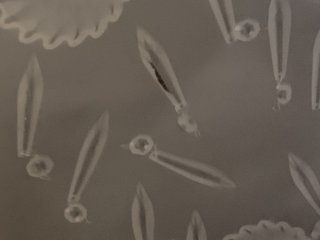 Lumenprint  Sdan laver du billeder med sollys