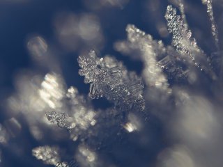 Fire gode rd, nr du fotograferer snefnug og iskrystaller