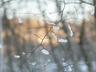 Fem fejl, nr du fotograferer sne  og hvordan du lser dem