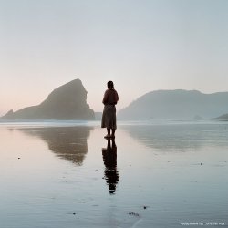 CINESTILL 400 Dynamic Versatile Color Negative Film 120