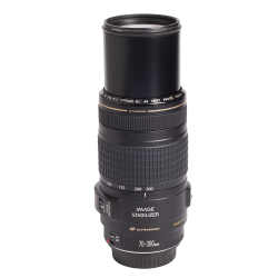 Canon EF 70-300mm f/4-5.6 IS USM