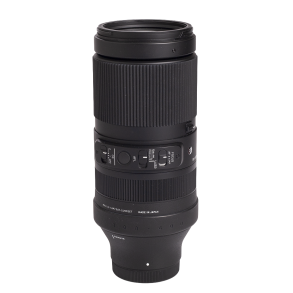 Sigma 100-400mm F5-6.3 DG DN OS t/Sony FE