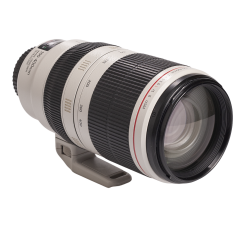 Canon EF 100-400mm f/4.5-5.6L IS II USM
