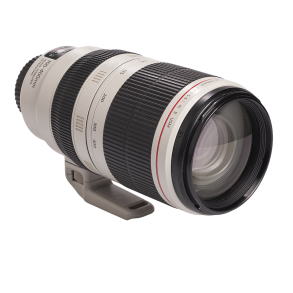 Canon EF 100-400mm f/4.5-5.6L IS II USM