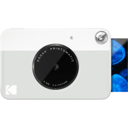 Kodak Printomatic Grey