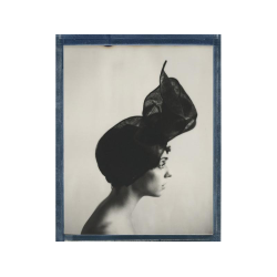 POLAROID B&W FILM FOR 8X10