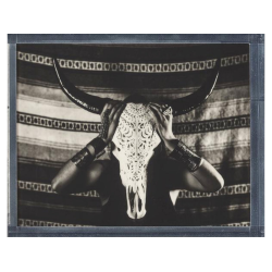 POLAROID B&W FILM FOR 8X10