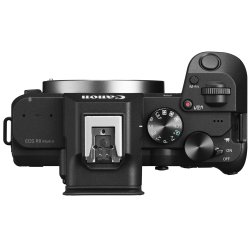 Canon EOS R8 Mark II + RF 24-105 F4-7.1 IS STM