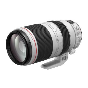 Canon EF 100-400mm f/4.5-5.6L IS II USM
