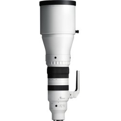 Sigma 300-600mm F/4 DG OS Sports t/Sony E