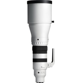 Sigma 300-600mm F/4 DG OS Sports t/L-MOUNT