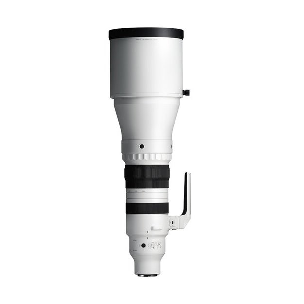 Sigma 300-600mm F/4 DG OS Sports t/Sony E