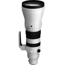 Sigma 300-600mm F/4 DG OS Sports t/Sony E